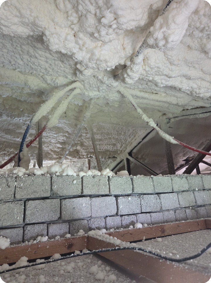 384aaca2a4512599be20cf1c57a29eb4_1758596068_976.jpg 384aaca2a4512599be20cf1c57a29eb4_1758596068_976.jpg