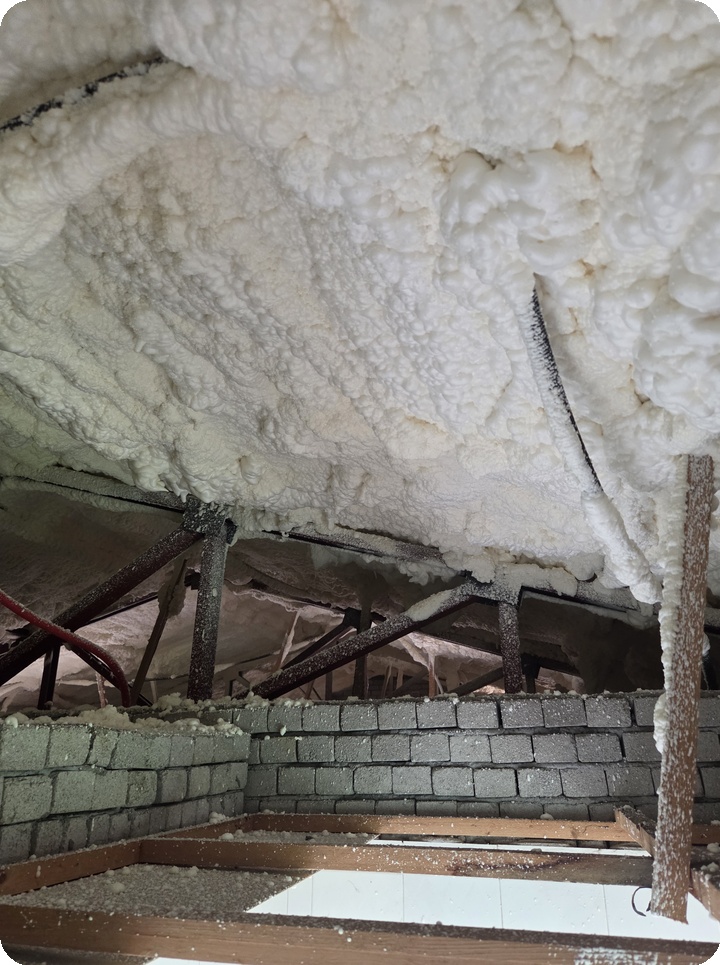 384aaca2a4512599be20cf1c57a29eb4_1758596069_0499.jpg 384aaca2a4512599be20cf1c57a29eb4_1758596069_0499.jpg