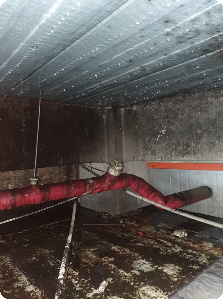 8c12cb66f229bea0c8d4abc579aec96d_1758252395_9371.jpg 8c12cb66f229bea0c8d4abc579aec96d_1758252395_9371.jpg